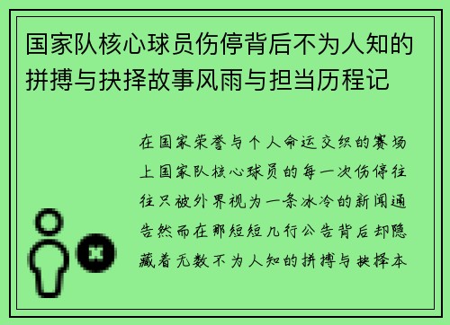 国家队核心球员伤停背后不为人知的拼搏与抉择故事风雨与担当历程记
